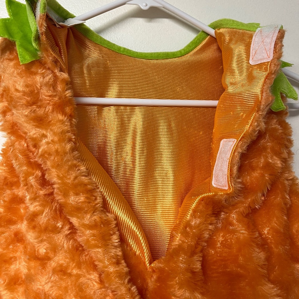 Pumpkin toddler costume/Med/18 mo old wore 2h/Hat/velcro/elastic/plush/non smo - Picture 7 of 15